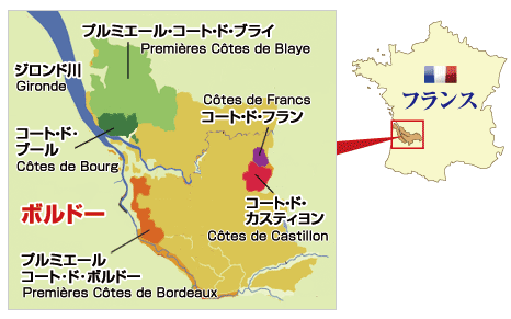 五大コート
