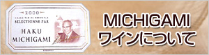 MICHIGAMI�磻��ˤĤ���