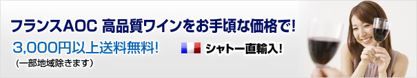�ե�󥹡��ܥ�ɡ��磻������MICHIGAMI�磻��