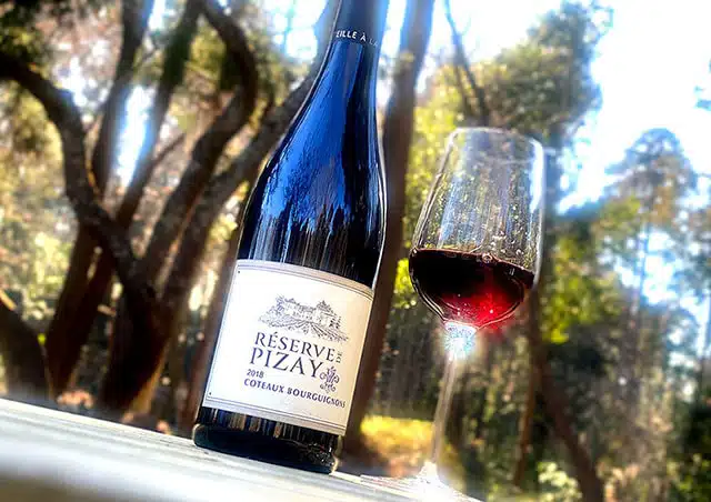 リザーブ・ドゥ・ピゼイ 2020年