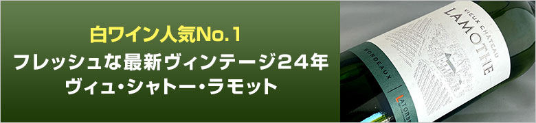 ラモット新入荷