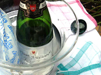 スパークリングワイン デュック・ダンリ