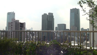お客様3