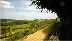 シャトー写真イメージ