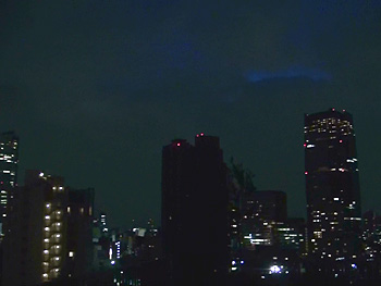 会場からの夜景