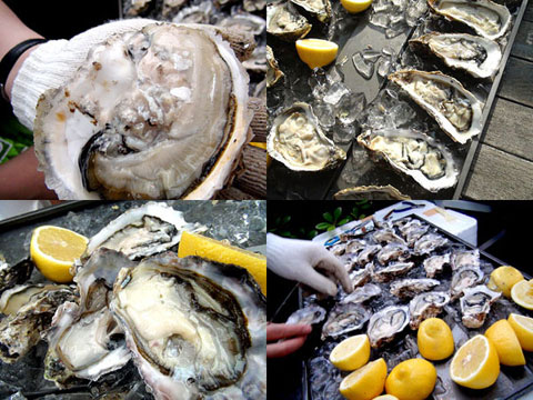 大量の牡蠣！
