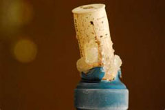 飛び出したコルク