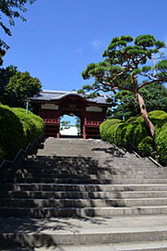 護国寺の階段